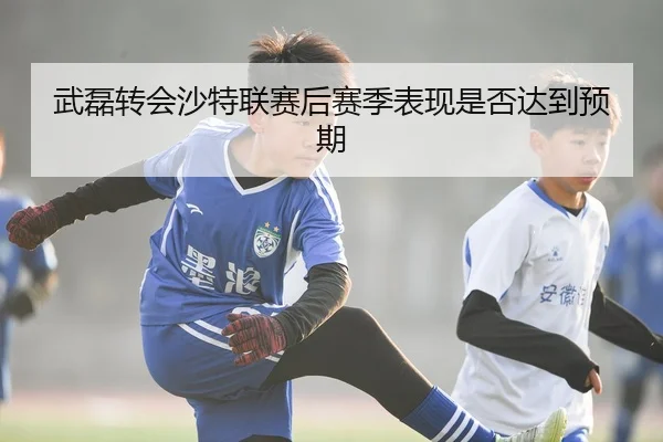 武磊转会沙特联赛后赛季表现是否达到预期