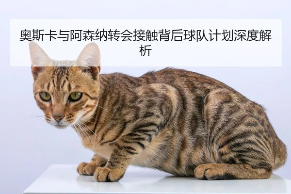 奥斯卡与阿森纳转会接触背后球队计划深度解析
