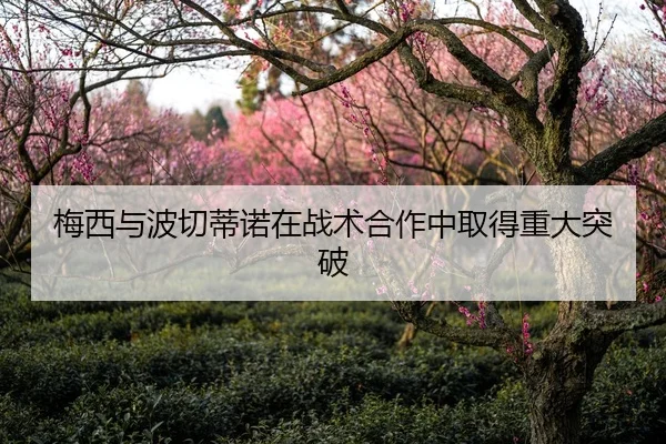 梅西与波切蒂诺在战术合作中取得重大突破